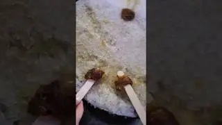 Maple Taffy on snow