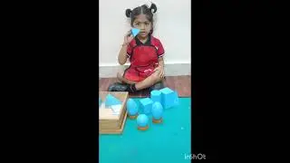 Colour  changing  flowers science  experiment #17/12/2025 by Nursery kids 