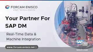 How to connect heterogeneous machines (brownfield) and benefit from real time data in SAP DM (1/3)
