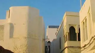 عيش سفاري.