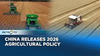 China Focuses on Food Security and Improving Farmers' Welfare in 2026
