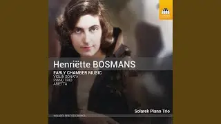 Piano Trio: III. Andante - Molto vivace