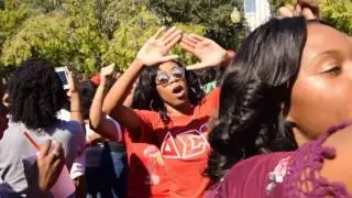 Delta Sigma Theta JSU Homecoming 2016