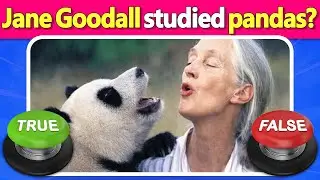 ⭕❌ Fast True or False Quiz on Famous People & History 🤯 Test Your Knowledge! | Quiz DingDong