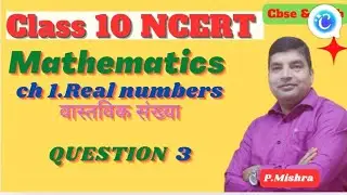 Class 10 Maths ch 1 Q3
