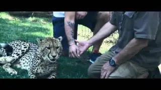 Leave The World Behind 2014 ( FULL MOVIE )