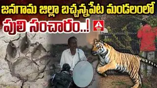 జనగామ జిల్లా బచ్చన్నపేట మండలంలో పులి సంచారం..! | Jangoan DIstrict Incident | ANN Telugu