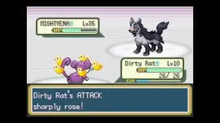 Team Rocket Butch - First Look