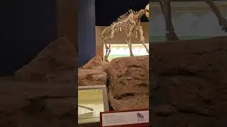 The National Museum #riyadh #ksa