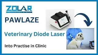 PawLaze - Veterinary Diode Laser (Therapy Procedures)