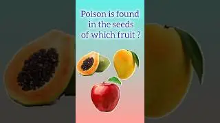 Poison is found in the seeds of which fruit ? #gk #quize #quiz #generalknowledge #english #fruits