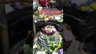 लाइव दर्शन कुलेश्वरनाथ राजिम #कुलेश्वरनाथ#शिवजी #morvlogs#shivji#shivjishorts#mahakal#omnamahshivaya