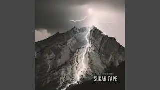 Fury of the Storm