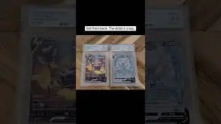 What Al Grading Actually Sees #card #pokemoncards #grading #collection #pokemon