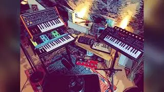 Arturia MiniFreak, Moog Subsequent 25 & Moog Grandmother - &bdquo;Herbststurm&ldquo;
