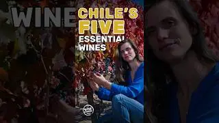 The 5 Essential Wines of Chile: A Regional Deep Dive with Andrea Le&oacute;n 🇨🇱🍷#ChileanWine #WineShorts