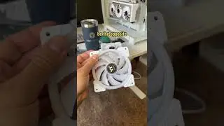 Вот какими должны быть все фанаты ПК