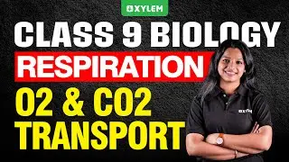 Class 9 Biology | RESPIRATION - O2 & CO2 TRANSPORT | Xylem Class 9