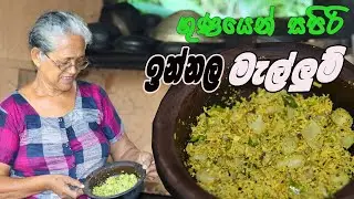 ඉන්නල මැල්ලුම් අත්තම්මයි මමයි | innala mallum | chinese potato recipe with English subtitles Grandma