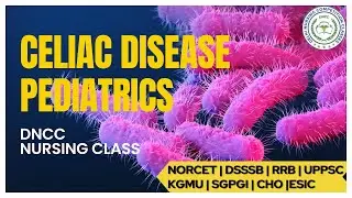 Celiac Disease | Gi Disorders | Gastrointestinal Disorders | NORCET 2023 | NORCET Preparation | DNCC