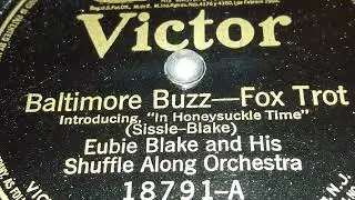 Eubie Blake & His Shuffle Along Orchestra - Baltimore Buzz (1921)