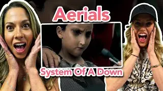 EMOTIONAL AND DEEP Reaction to System Of A Down - Aerials