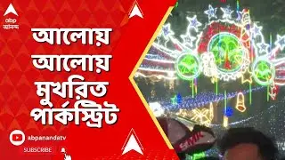 Park Street: ক্রিসমাসে জমজমাট আনন্দ, পার্কস্ট্রিটে নেমেছে মানুষের ঢল
