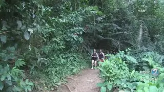Manoa Falls to reopen after near 2 year closure