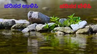Nature beautiful video 