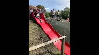 Dog Falls Off Playground Slide While Sliding Down With Kid - 1359248