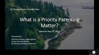 Family Law &ndash; What is a Priority Parenting Matter?