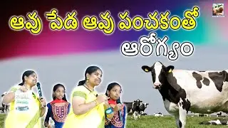 Every Home NEEDS These Cow Products During Festive Time|| Mulam Santa|| Suryakala || Hyderabad ||
