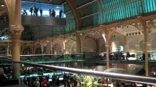 Champagne Bar Royal Opera House London