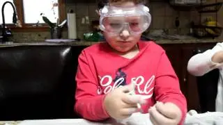 Dinosaur Fossil Project