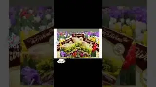 Vida Divina Organic detox tea