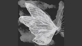 Gossamer (Vines version)