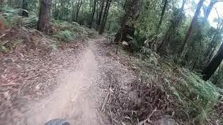 Kincumber Mountain Flow DH - how not to land the jump.