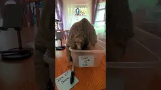 Winter thinks she is part of the sale