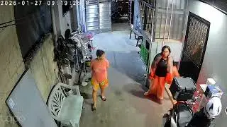 #loveanimals #careforanimals #respectanimals #dog #maltese #family #cctv #tapo #garage #views #like 
