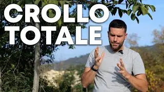 Sono SERIAMENTE preoccupato!