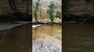 Hidden gems uncovered