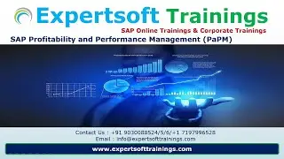 SAP S4HANA Profitability and Performance Management (PaPM) Training | SAP S4HANA PaPM Training
