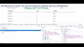 Introduction to DataTables (Web Development)