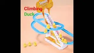 Duck Slide Toy Set