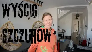 Wyścig szczurów w pracy Polskie realia