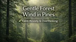 Gentle Forest Wind in Pines 🌿 2 Hours | Rest  / Calms Anxiety, Overthinking & Insomnia