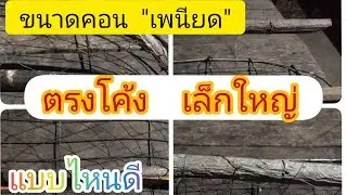 ขนาดคอน 