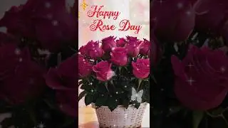 February 7, 2024  | Happy Rose Day&nbsp;| 🌹#shortsfeed #shorts #yt #shortvideo #trending  #status #viral