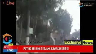 Puting Beliung Terjang Kawasan GOR Ki Mageti Magetan