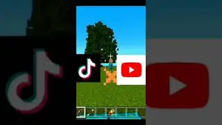 THIS OR THAT #gaming #minecraft #mr beast faze rug